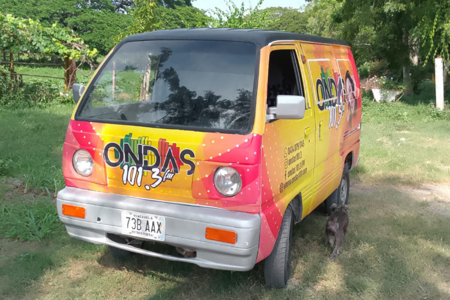 OndaMóvil en Vivo
